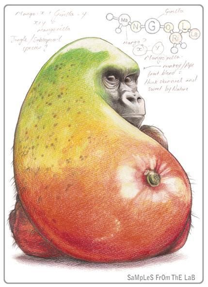 Fruity! Rob Foote's weird and wonderful Mangorilla #illustration http://ow.ly/SyFPH (chem chart)  #kidlitart Metamorphosis Art, Arte Inspo, Ap Art, Arte Animal, Color Pencil Drawing, Funky Art, Surreal Art, Art Plastique, Art Education