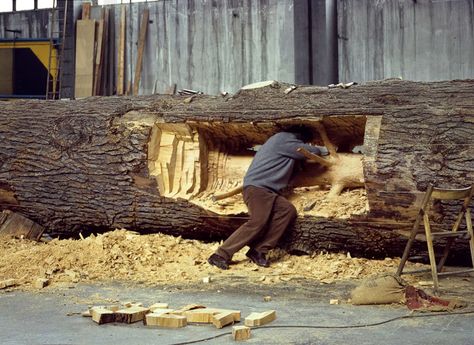 giuseppe penone, ‘cedro di versailles’, 2000-2003 cedar wood, 630 x 160 cm photographic documentation courtesy the artist photo © archivio penone Giuseppe Penone, Neo Dada, Art Gallery Of Ontario, Into The Wood, Cedar Trees, Philadelphia Museum Of Art, Tree Sculpture, Art Video, Into The Woods