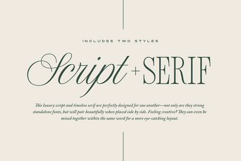 Font Love, Business Fonts, Luxury Font, Font Duo, Font Combinations, Font Inspiration, Graphic Design Fonts, Font Pairing, Brand Fonts