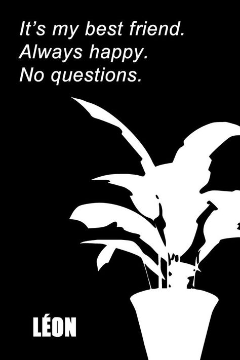 Famous quotes - Léon the professional. [about the plant] It's my best friend. Always happy. No questions. Professional Leon, Leon Matilda, Inglorious Basterds, 1990s Films, 2pac Quotes, Favourite Movie, Favorite Movie Quotes, Movie Moments, Always Happy