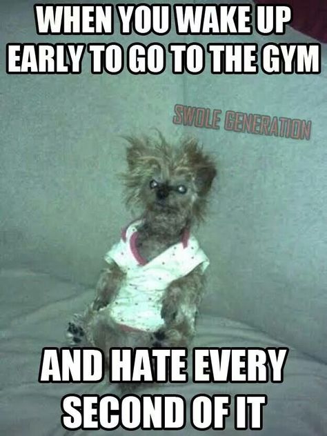 I would say that almost looks like me at 4:00 AM - ALMOST ! Crossfit Humor, Gym Humour, Fitness Memes, Memes In Real Life, Ju Jitsu, Michelle Lewin, Go To The Gym, Gym Quote, Workout Memes