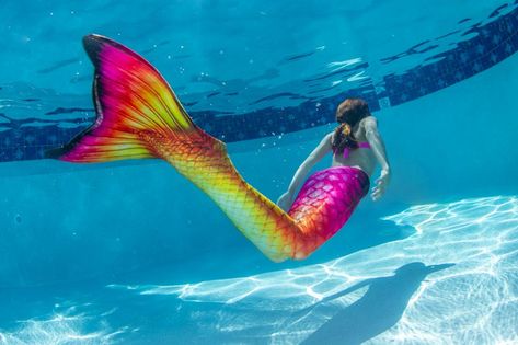 8 Reasons Being a Mermaid Makes You A Better Human | Fin Fun Blog Mermaid Melissa, Mermaid Tail Fin, Manga Mermaid, Pink Mermaid Tail, Real Mermaid, Fin Fun Mermaid Tails, Mermaid Swim Tail, Realistic Mermaid, Fin Fun Mermaid