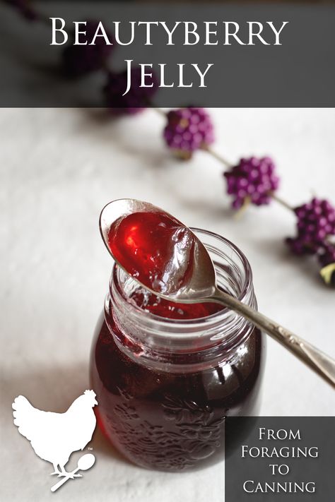 Learn how to make homemade Beautyberry Jelly from foraged berries. You'll love this delicious and unique jelly! This recipe makes about 5, 4 ounce jelly jars. Red Currant Jelly Recipe, Blackcurrant Jelly, Vegan Sides, Jelly Jars, Pancakes And Waffles, Crockpot Recipes Easy, Morning Food, Fruit Flavored, Summer Fruit