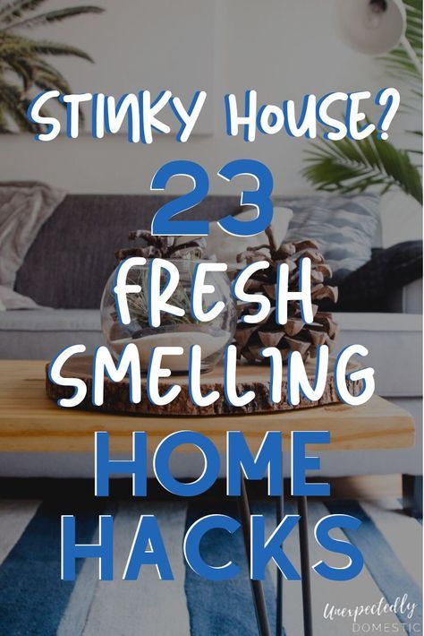 Billy Ikea, Smelling Good, House Smell Good, Bathroom Smells, Bathroom Cleaning Hacks, Deep Cleaning Tips, House Smell, Household Cleaning Tips, Up House