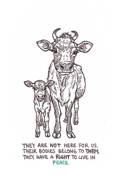 Please let them live in peace #goVEGAN Vegan Activism, Vegan Facts, Vegan Vibes, Live In Peace, Vegan Art, Vegan Memes, Animal Activism, Being Vegan, Vegan Quotes