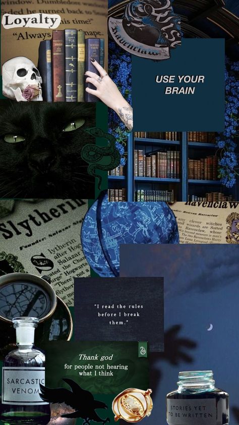 Slytherclaw core #slytherin #ravenclaw #slytherinaesthetic #ravenclawaesthetic #slytherinvibes #ravenclawvibes #slytherclaw #slytherinhouse #ravenclawshuffle #ravenclawoutfits #slytherinhouse #slytherincore #ravenclawpride Slytherin Ravenclaw Aesthetic, Slytherin X Ravenclaw Aesthetic, Slytherin X Ravenclaw, Slytherclaw Aesthetic, Slytherin Core, Slytherin Ravenclaw, Ravenclaw Pride, Ravenclaw Aesthetic, Slytherin House