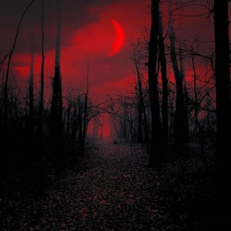 Red Aesthetic Grunge, Dark Red Wallpaper, Arte Peculiar, Gothic Aesthetic, Red Moon, Blood Moon, Fantasy Aesthetic, Red Wallpaper, Red Aesthetic