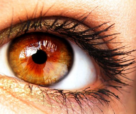 Cognac Eyes, Amber Eyes Color, Orange Eyes, Amber Eyes, Eye Pictures, Reddish Orange, Aesthetic Photography Grunge, Amber Color, Eye Art