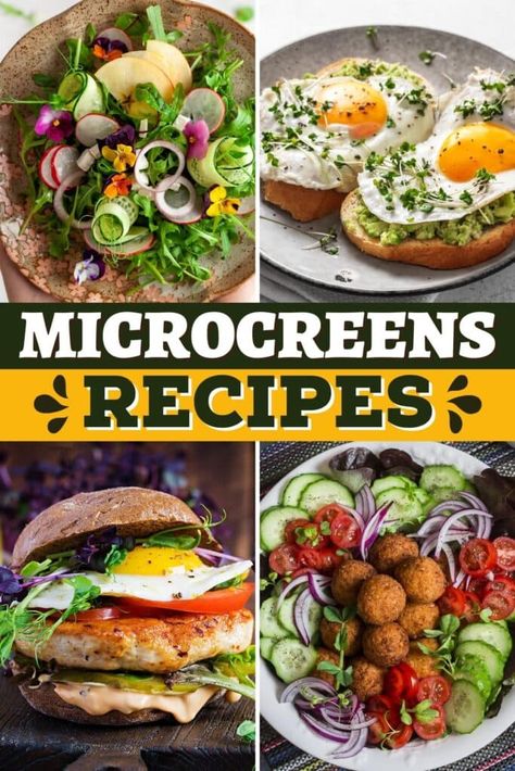 Microgreen Salad Recipe, Recipes Using Microgreens, Recipes For Microgreens, Microgreen Recipes Ideas, Broccoli Microgreens Recipe, Micro Green Recipes, Recipes With Microgreens, Microgreens Recipe Ideas, Micro Greens Recipe