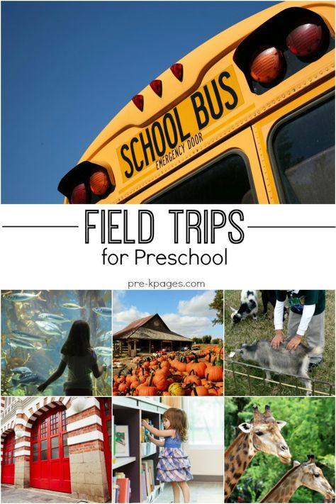 Preschool Field Trip Ideas. Fun field trip ideas for preschool and kindergarten kids. Teacher tips for planning and preparing for your field trip too! Preschool Field Trip Ideas, Aquarium Pumpkin, Preschool Field Trip, Quotes About Children Learning, Kids Learning Activities Preschool, Field Trip Ideas, Teaching Preschoolers, Community Jobs, Zoo Aquarium