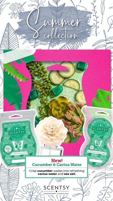 Scentsy 2022, Scentsy Marketing, Sunshine State Of Mind, Cactus Water, Scentsy Ideas, Scented Wax Warmer, Vibrant Home, Scentsy Business, Scentsy Scent