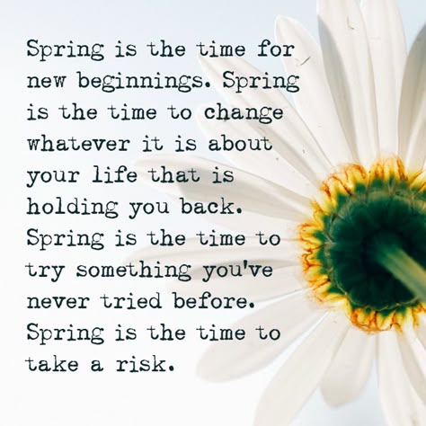 On Spring and New Beginnings: Spring is the time for new beginnings. Spring is the time to change whatever it is about your life that is holding you back. Spring is the time to try something you’ve never tried before. Spring is the time to take a risk. | Finding Ithaka April New Beginnings, Spring Begins, Spring Quotes Inspirational Life, Spring New Beginnings, Spring Humor, Spring Forward 2023, Inspirational Spring Quotes, Spring Forward Quotes, Spring New Beginnings Quotes