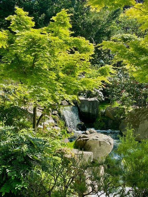 london kyoto garden waterfall Kyoto Garden London, Media Coursework, Gardens Aesthetic, Travel To London, Uk Nature, Kyoto Garden, Garden Waterfall, Random Aesthetic, Kyoto