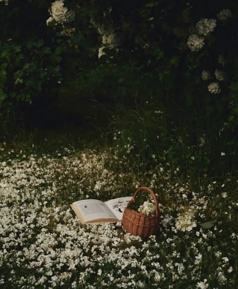 Leila Core, Green Academia Aesthetic, Green Academia, Fairytale Aesthetic, Forest Core, Dreamy Photography, Cottage Core Aesthetic, Cottagecore Aesthetic, Spring Aesthetic