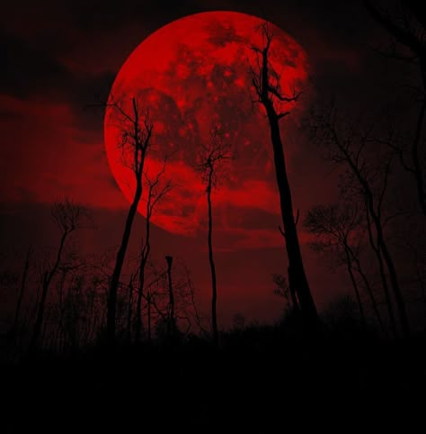 When The Red Moon Comes Up, Hide     [Pic not mine] Dark Side Of The Moon Aesthetic, Crimson Moon, Demon Aestethic Red, Red Grunge Pfp, Red Fantasy Aesthetic, Red Moon Aesthetic, Bakugou Katsuki Fanart Cute, Blood Red Moon, Practical Magic Movie