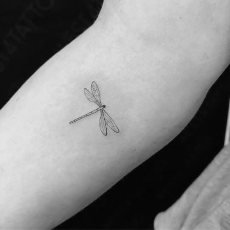 Dragonfly Dainty Tattoo, Small Fine Line Dragonfly Tattoo, Fine Line Dragonfly Tattoo Design, Dragonfly Inn Tattoo, Small Dragon Fly Tattoo For Women, Minimalistic Dragonfly Tattoo, Dragon Fly Tattoo Fine Line, Dragonfly Tattoo On Arm, Two Dragonfly Tattoo