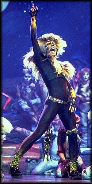 Rum tum tugger Rum Tum Tugger, Moulin Rouge Dancers, Cats Costume, John Partridge, Jellicle Cats, Toddler Painting, Musical Theatre Broadway, Cats Musical, Cat Pose