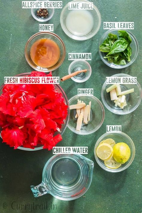 Hibiscus Drink Recipes, Hibiscus Tea Blend, Jamaica Tea, Hibiscus Benefits, Hibiscus Tea Recipe, Heathy Drinks, Healing Tea Recipes, Hibiscus Tea Benefits, Hibiscus Drink