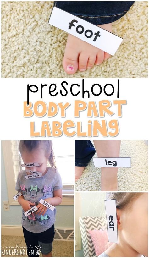 Body Parts Preschool Activities, Body Preschool, Human Body Activities, Body Parts Preschool, All About Me Preschool, Human Body Unit, Body Craft, Parts Of The Body, Preschool Science