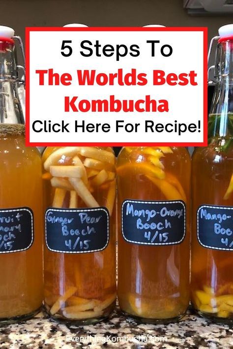 Kombucha Recipe Scoby, Raspberry Kombucha Recipe, Diy Kombucha How To Make, Kambucha Scobie, Kombucha Starter Recipe, Making Kombucha At Home, How To Make Kombucha Step By Step, Kombucha Recipe For Beginners, Homemade Kombucha Recipe