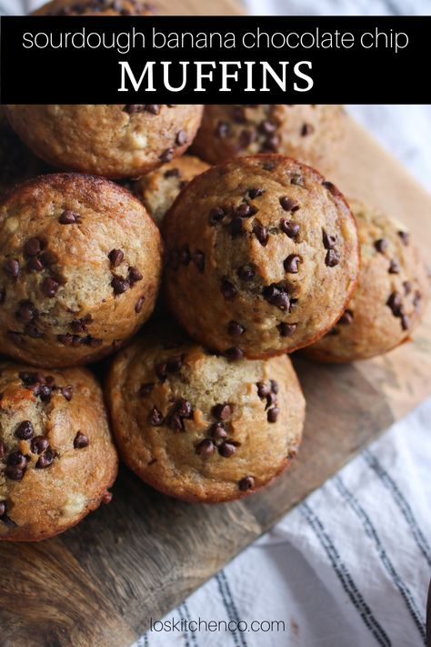 Sourdough Discard Banana Chocolate Chip Muffins, Sourdough Starter Banana Muffins, Sourdough Discard Banana Muffin Recipes, Chocolate Chip Muffins Sourdough, Sourdough Banana Muffins Recipe, Sourdough Chocolate Chip Banana Bread, Protein Sourdough Muffins, Sourdough Banana Chocolate Chip Muffins, Sourdough Discard Banana Bread Muffins