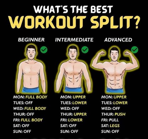 Workout Split At Home, Best Workout Split, Split Workout Routine, Lower Workout, Workout Split, Workout Splits, Holistic Approach To Health, Workout Results, Major Muscles