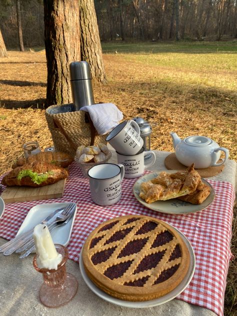 One day of November in the forest, autumn vibes and picnic time for making best mood🍂 Picnic Aesthetic Winter, Winter Picnic Aesthetic, March Vibes, Couple Dates, Forest Picnic, Autumn Picnic, Dates Ideas, Winter Picnic, Picnic Ideas