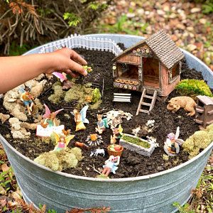 Beach Terrarium, Beach Fairy Garden, Fairy Garden Terrarium, Terrace Garden Ideas, Fairy Garden Plants, Outside Plants, Garden Rock Art, Plant Terrarium, Air Plant Terrarium