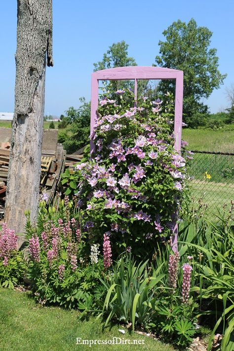 Ideas For Old Doors, Windows In The Garden, Painted Window Frames, Garden Themes, Old Window Frames, Unique Garden Art, Old Window Frame, Garden Art Ideas, Window Projects