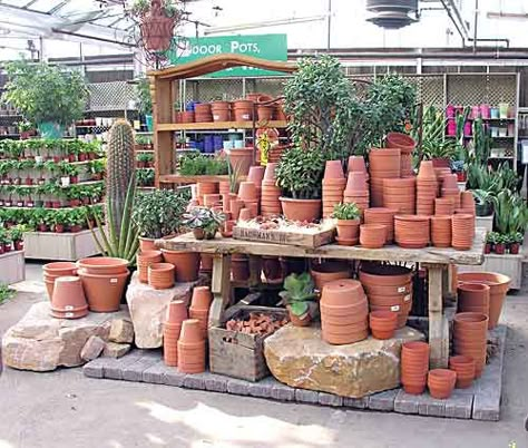 A display of terra cotta pottery at Bachman's Garden Center in Minneapolis, Minnesota. Photo courtesy of Bachman's Garden Center. Garden Center Displays Retail Ideas, Variegated Hosta, Garden Center Displays, Photo Garden, Terra Cotta Pottery, Terracotta Pottery, Pottery Display, Greenhouse Plans, Garden Nursery