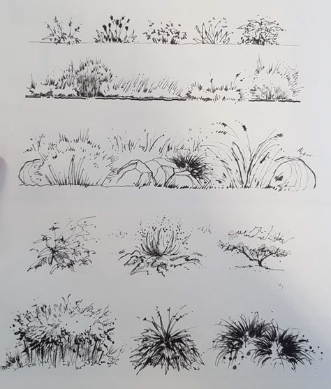 Ink Drawing Techniques, Plant Sketches, Landscape Pencil Drawings, Landscape Design Drawings, Architecture Drawing Sketchbooks, Landscape Architecture Drawing, Tree Sketches, Landscape Sketch, Architecture Drawing Art