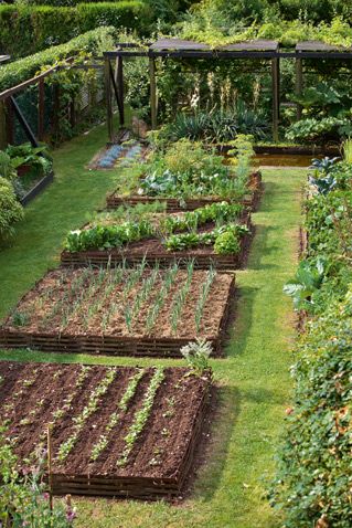 Garden Tattoo, Small Vegetable Gardens, Vegetable Garden Planning, Vegetable Garden Diy, Potager Garden, Aesthetic Garden, Community Garden, Veg Garden, Outdoor Gardens Design