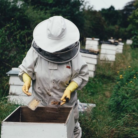 Save The Bees Different Bees, Bee Conservation, Bee Removal, Wild Bees, Bee Hotel, Worker Bee, Solitary Bees, Bee Colony, Bee Keeping Supplies