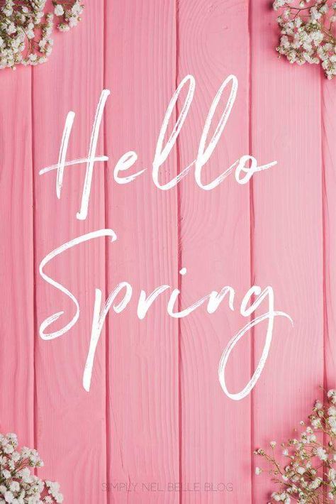 Hello Spring Quotes, Hello Spring Wallpaper, Quotes Spring, Spring Quote, Quotes Pink, Spring Quotes, Pink Photography, Photography Spring, Spring Inspo