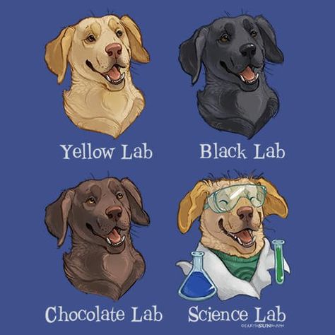 The Labrador is one of the most popular breeds of dog. The high intelligence, initiative and self-direction of Labradors in working roles is exemplified by the Yellow Lab, Black Lab, Chocolate Lab, and...Science Lab? This is a perfect design for dog lovers. Labrador Character Design, Labrador Drawing Cartoon, Lab Cartoon, Cartoon Labrador, Lab Cartoon Dog, Chibi Dog, High Intelligence, Lab Chocolate, Dog Emotions