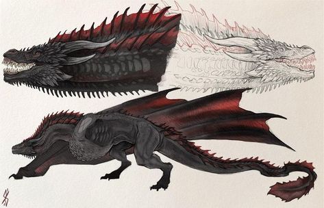 S i ø S I N ☾ on Instagram: "🖤DROGON🖤 The last living dragon. I love the massive chest muscles he needs to get him off the ground, such a tank. #houseofthedragon #gameofthrones #got #hotd #drogon #syrax #caraxes #asoiaf" Targaryen Dragons Art, House Of The Dragon Dragons, Drogon Game Of Thrones, Game Of Thrones Dragons, Got Dragons, Targaryen Art, Gra O Tron, Dragon Rider, Dragon Games