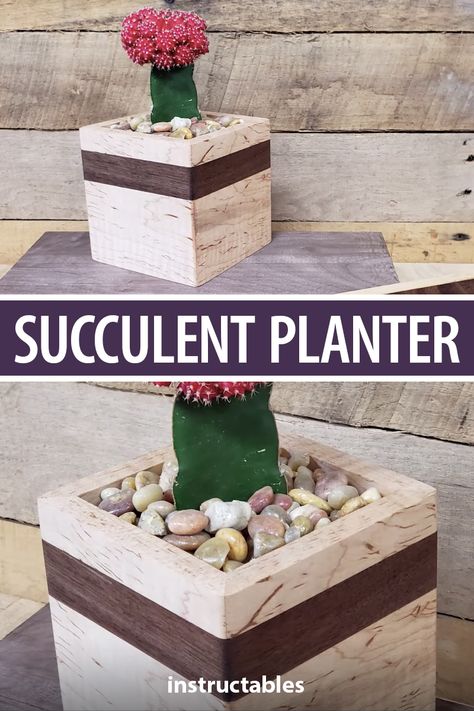 Wooden Succulent Planter, Wood Succulent Planter, Awesome Woodworking Ideas, Planter Diy, Wooden Planter, Plant Box, Carpentry Diy, Indoor Jungle, Wood Ideas