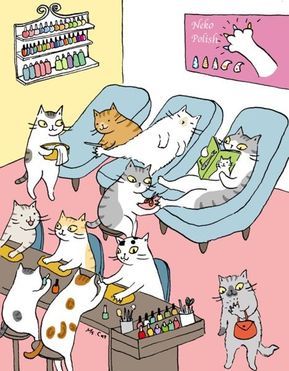 16 Comics That Show The Secret Daily Life Of Cats - I Can Has Cheezburger? Gatos Cool, Akita Dog, Cat Comics, Image Chat, Funny Illustration, Border Collies, Cats Illustration, Cat Illustration, Cats Meow