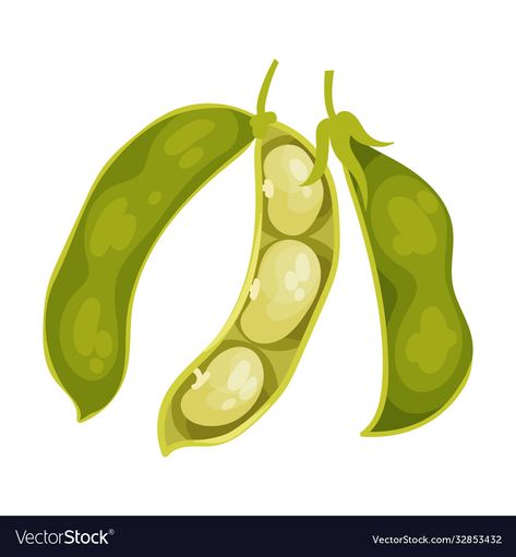 Crops Illustration, Bean Illustration, Bean Cartoon, Ip Design, Vegetable Cartoon, Bean Pods, Green Bean, Fruit And Veg, Craft Activities For Kids