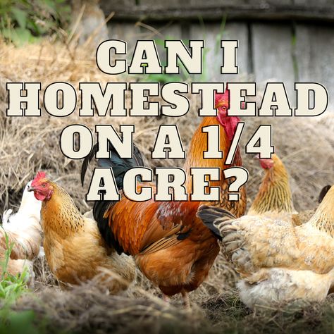 Homestead On 1/4 Acre, 25 Acre Homestead Layout, Quarter Acre Homestead, Self Sufficient Homestead Layout, Half Acre Homestead, 4 Acre Homestead Layout, Half Acre Homestead Layout, Quarter Acre Homestead Layout, 2 Acre Homestead