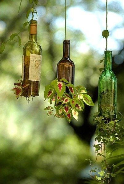 Wine Bottle Outdoor, Wine Bottle Planter, Pot Gantung, Wine Bottle Project, Repurposed Wine Bottles, Diy Hanging Planter, Old Glass Bottles, Empty Wine Bottles, Budget Garden