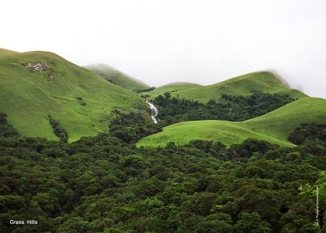 Western Ghats, India - Older than the Himalaya mountains, the mountain chain of the Western Ghats represents geomorphic features of immense importance with unique biophysical and ecological processes. The site’s high montane forest ecosystems influence the Indian monsoon weather pattern. Sultan Qaboos, Forest Ecosystem, Valley Of Flowers, Western Ghats, Mountain Forest, Environmental Conservation, Cultural Experience, Unesco World Heritage Site, Unesco World Heritage