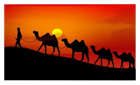 Rajasthani Drawing, Shilloute Art, Arab Drawing, Camel In Desert, Sunset Art Painting, Multiple Canvas Paintings, Rajasthan Art, Poster Rangoli, Colorful Animal Paintings