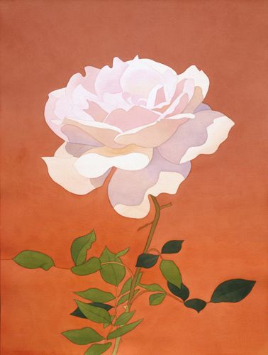 Rose Gouache, Mark Adams, Mark Adam, Let's Make Art, Pale Pink Roses, Digital Museum, Collaborative Art, Orange Background, Botanical Illustration