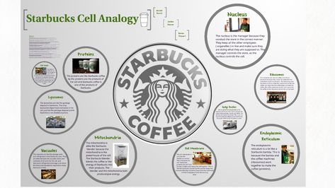 A cell is like a... Starbucks Cell City Project, Family Worship Ideas Jw Games, Cell Analogy, Cell City, Science Posters, Science Cells, Cell Organelles, Cells Project, Middle School Hacks