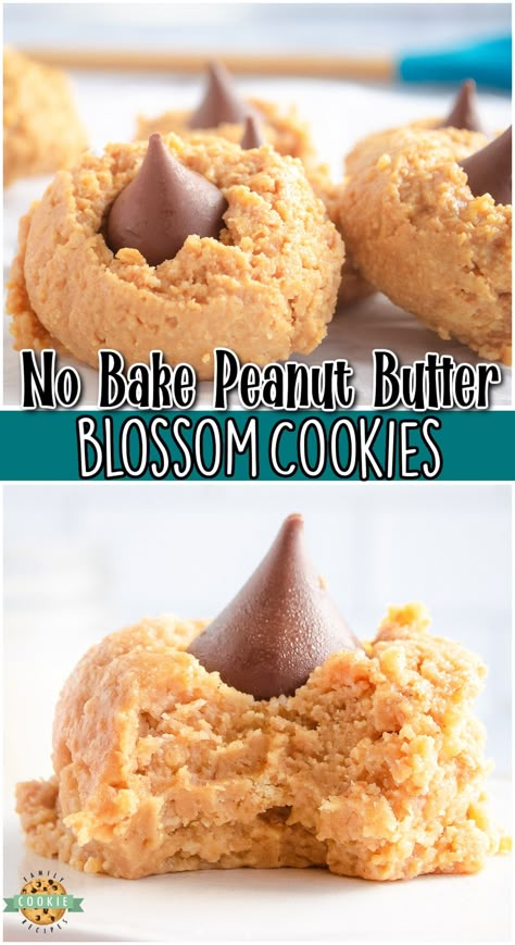 No-bake Peanut Butter Blossoms made with only 5 ingredients in 10 minutes & perfect for chocolate peanut butter lovers! Amazing peanut butter no bake cookies that mimic the traditional blossom cookie everyone loves! No Bake Peanut Butter Kisses, No Bake Peanut Butter Kiss Cookies, Chocolate Peanut Butter No Bake Cookies, No Bake Cookies Peanut Butter, Peanut Butter No Bake Cookies, Peanut Butter Kiss, Peanut Butter Kiss Cookies, Butter Blossoms, Peanut Butter Blossom Cookies