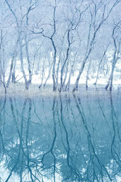 北海道 / Hokkaido                                                                                                                                                                                 もっと見る Ice Blue Aesthetic, Hokkaido Travel, Forest Mirror, Ice Forest, 자작나무 그림, Era Victoria, Japan Hokkaido, Winter Wishes, Hokkaido Japan