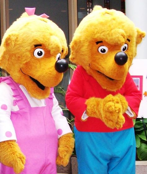 Brother & Sister Bear from the Berenstain Bears The Berenstain Bears, Sister Bear, Berenstain Bears, Brother Sister, Pikachu, Bears