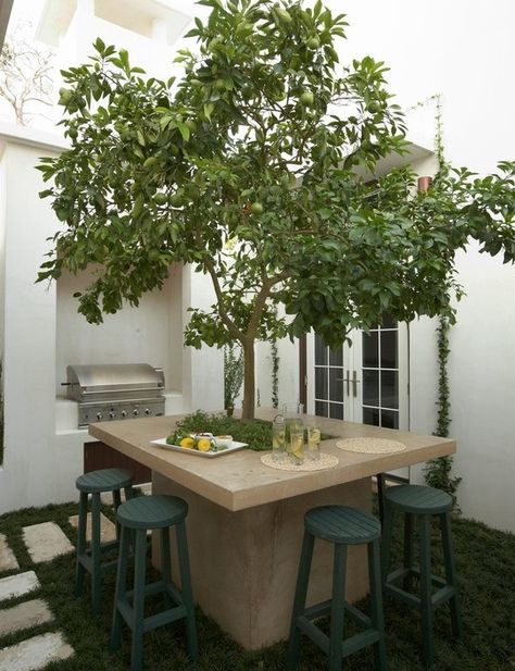 Patio Design Condo Patio, Mediterranean Patio, Tree Table, Garden Cafe, Sitting Pretty, Courtyard Garden, Ideas Pictures, Outdoor Rooms, Outdoor Design