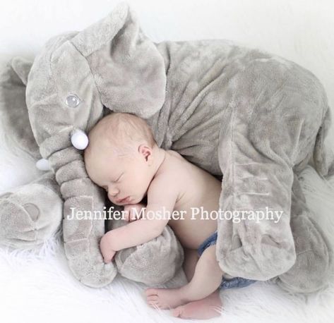 Newborn Pictures Diy, Baby Reveal Pictures, Newborn Elephant, Newborn Photoshoot Ideas, Diy Newborn Photography, Newborn Photography Boy, Baby Fotografie, Baby Pictures Newborn, Newborn Photography Poses